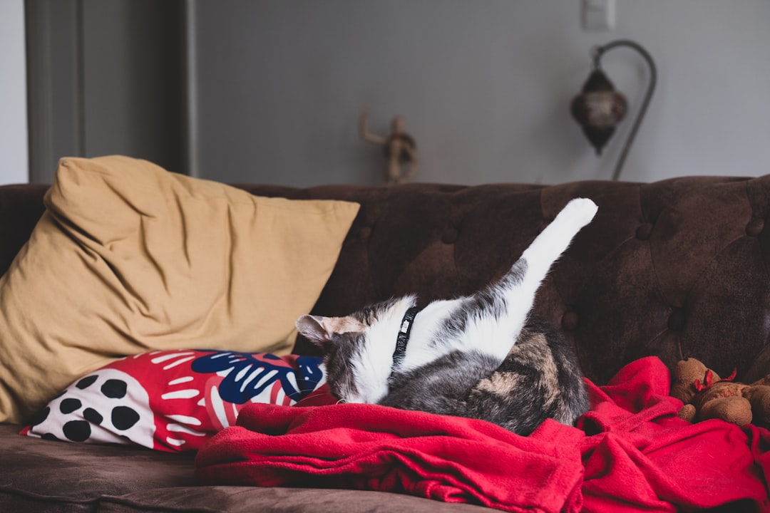 Assurance scolaire pour enfant, analyse des besoins et doublons